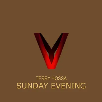 Winter Sunday Evening by Terry Hossa