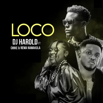 Loco by Dj Harold