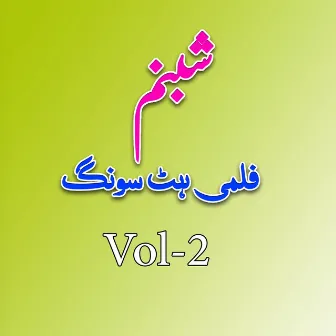 Pashto Filmi Song, Vol. 2 by Shabnam