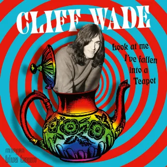 Look at Me I've Fallen into a Teapot by Cliff Wade