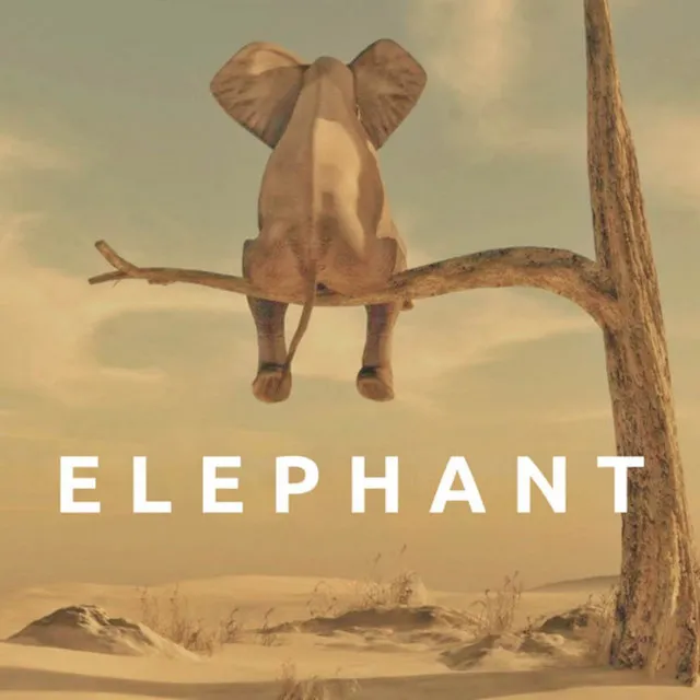 Elephant - Extended Mix