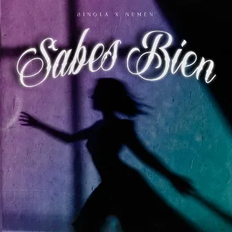 Sabes Bien by Numen