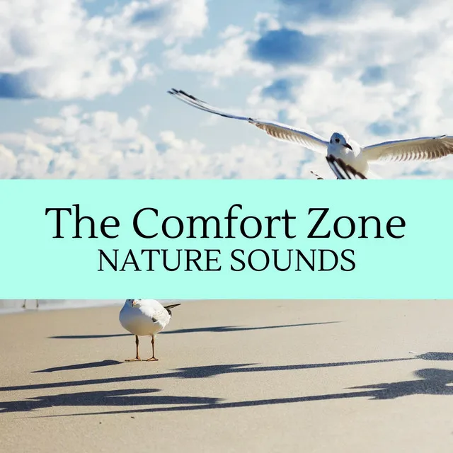 Nature Love and Birds Sound