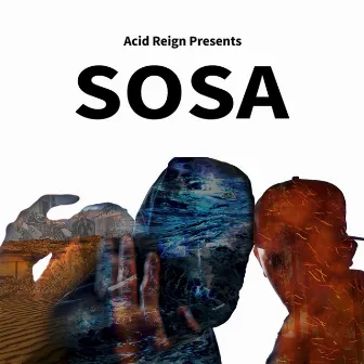 Sosa by Acid Reign