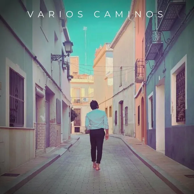 Varios caminos