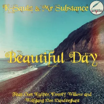 Beautiful Day by Mr. Substance