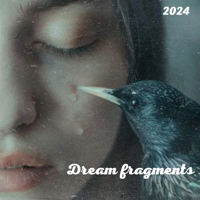 Dream fragments