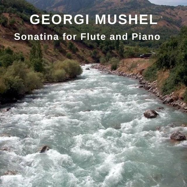 Sonatina for Flute and Piano: III. Allegro vivace