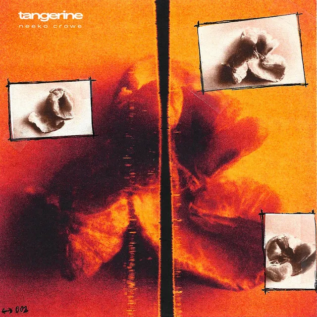 tangerine