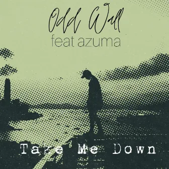 Take Me Down by Odd Wall