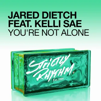 You're Not Alone (feat. Kelli Sae) by Jared Dietch