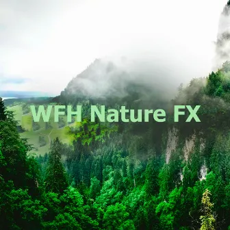 WFH Nature FX by The Calm Factory