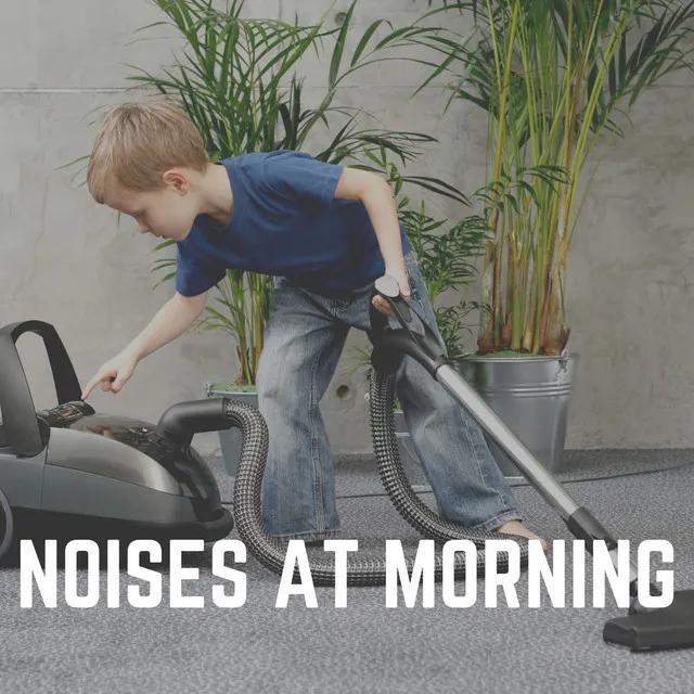 Noises At Morning