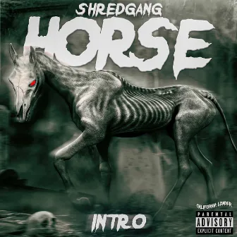 Intro by Shredgang Horse