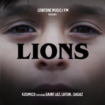 Lions by Kosmico