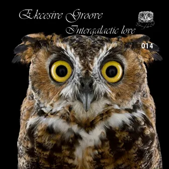 Intergalactic Love by Ekcesive Groove