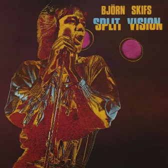 Split Vision by Björn Skifs