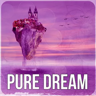 Pure Dream - Sleep Meditation Music, Inner Silence, Bedtime Songs to Help You Relax, Meditate, Rest, Relaxation, Long Sleep by Dream Moods Music Academy