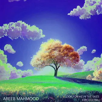 Look For Me In The Skies (Orchestral) by Areeb Mahmood