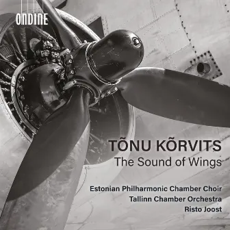 Tõnu Kõrvits: The Sound of Wings by Risto Joost