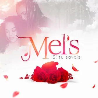 SI TU SAVAIS by Mel's