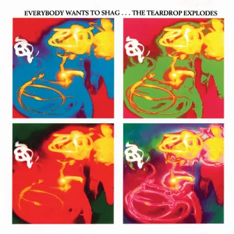 Everybody Wants To Shag by The Teardrop Explodes