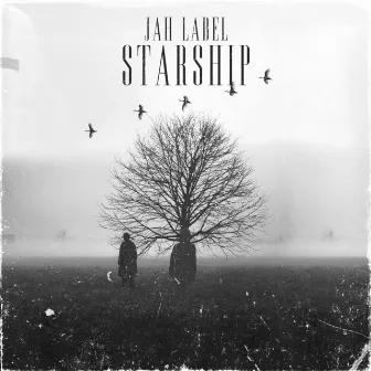 Starship by Jah Label