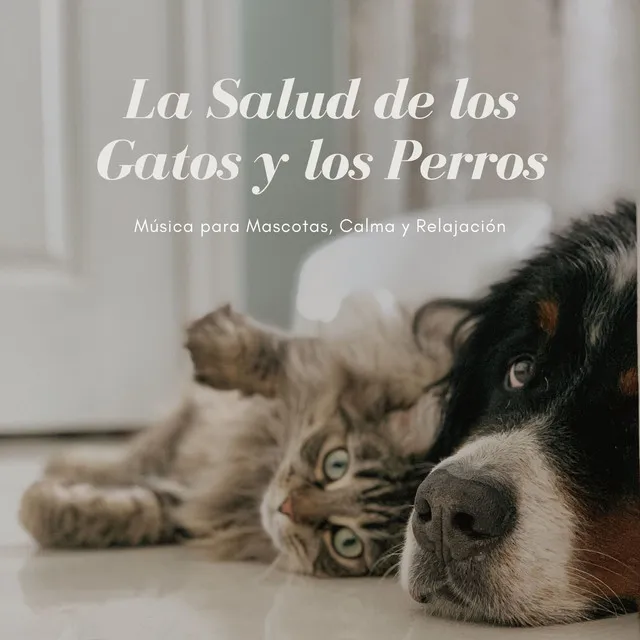 Musica para Relajar Perros Cachorros