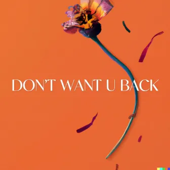 Don’t Want U Back by Lucas Larvenz