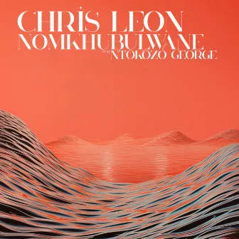 Nomkhubulwane by Chris Leon