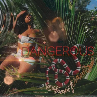 Dangerous by Janedoe