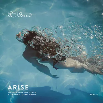 Flying Under The Ocean by Arise