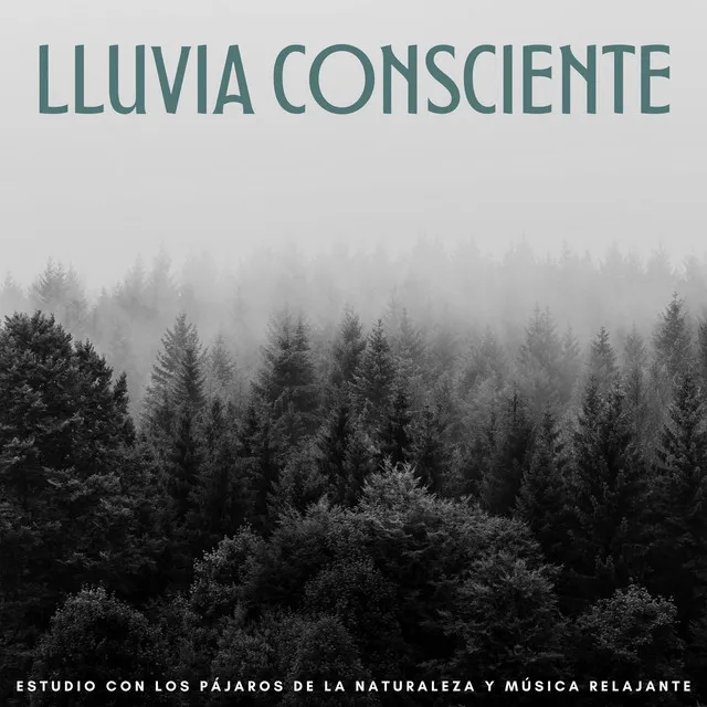 Lluvia Consciente: Estudio Con Los Pájaros De La Naturaleza Y Música Relajante