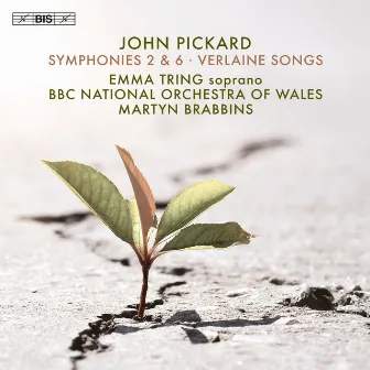 John Pickard: Symphonies 2 & 6; Verlaine Songs by John Pickard