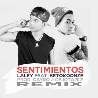 Sentimientos by Koonze Family