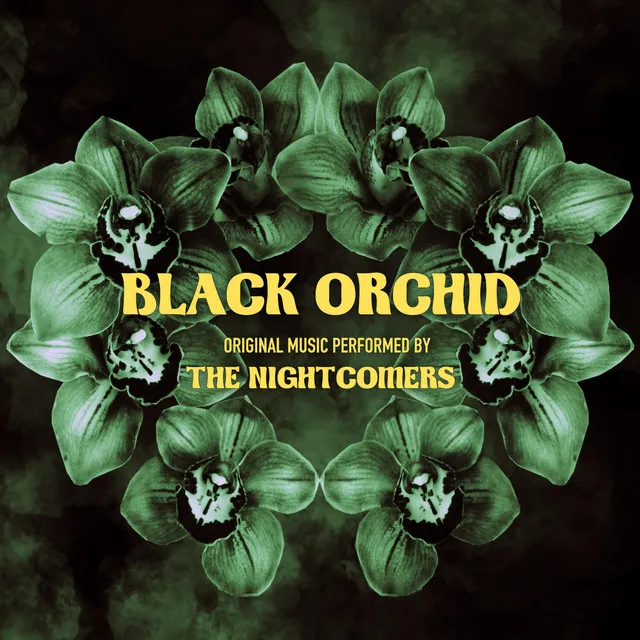 Black Orchid