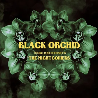 Black Orchid by The Nightcomers