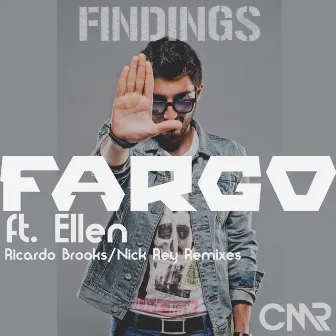 Findings by Fargo