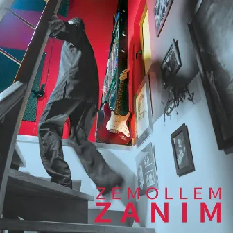 Zanim by Zemollem