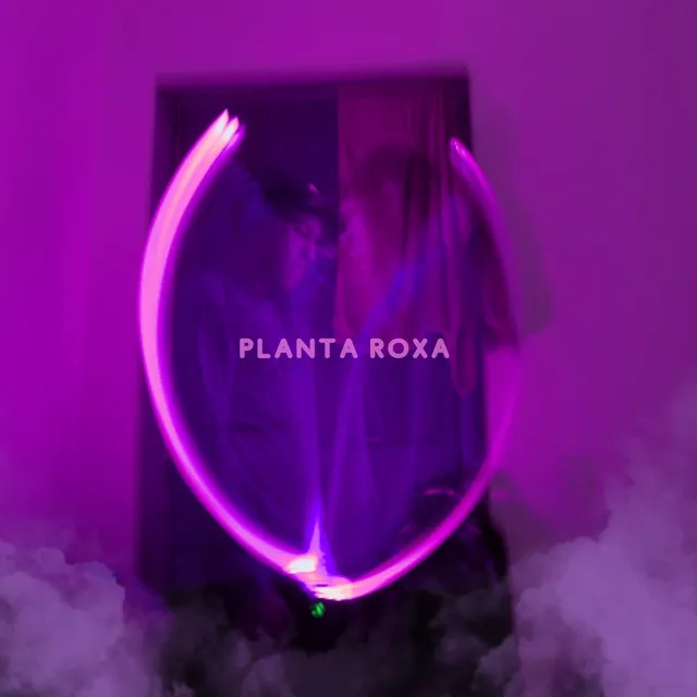 Planta Roxa