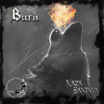 Burn by Naza Santana