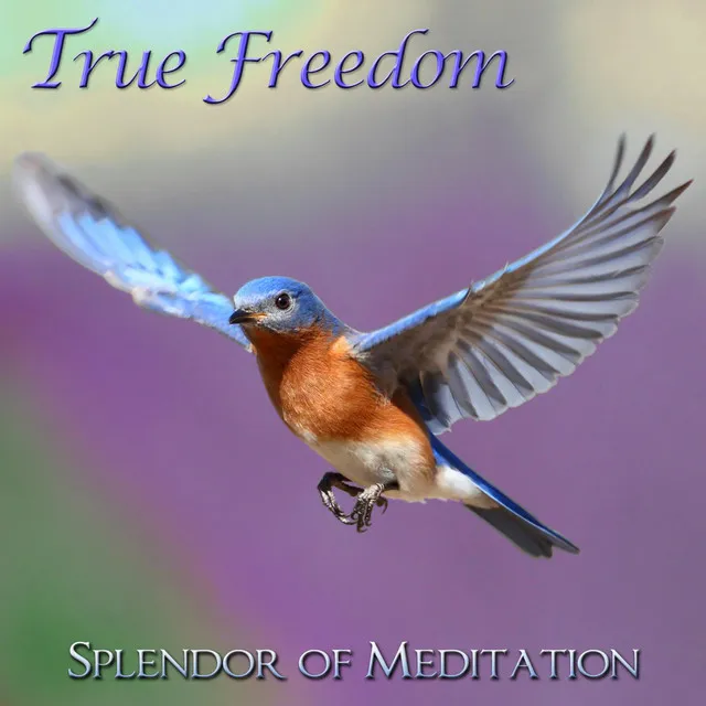 True Freedom - Guided Meditations for Relaxation and Stress Relief With Christine Wushke