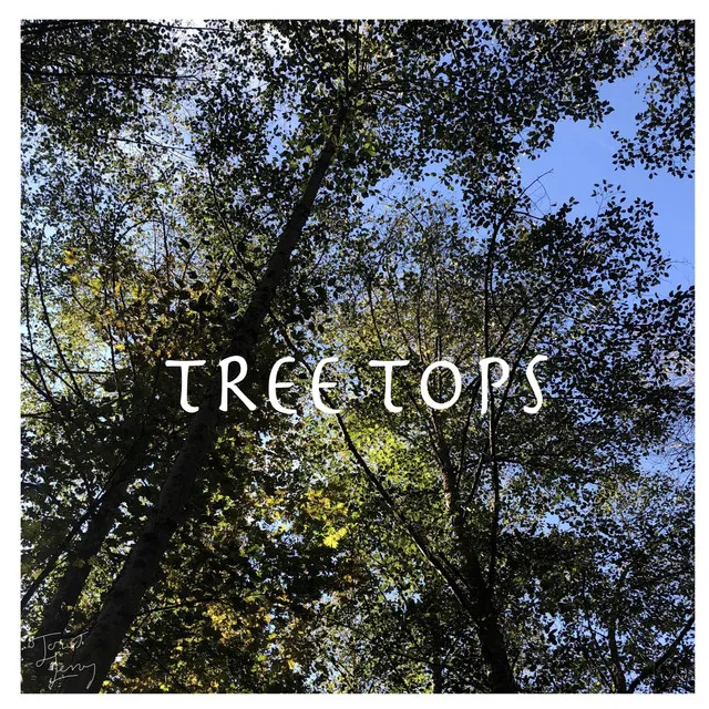 TREETOPS