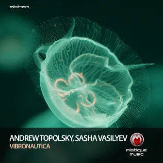 Vibronautica by Andrew Topolsky