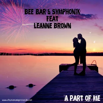 A Part of Me (feat. Leanne Brown) by Symphonik