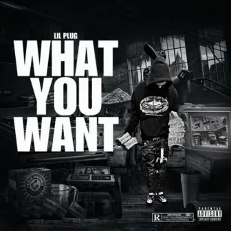 What You Want ? by Lil Plug