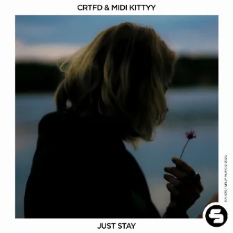 Just Stay by MIDI Kittyy