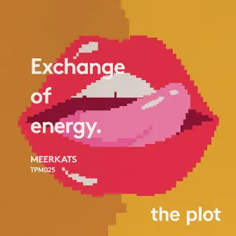 Exchange Of Energy by Meerkats