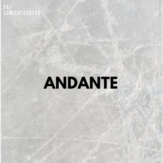 Andante by Pat Szwichtenberg