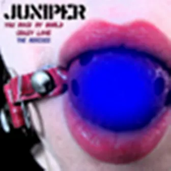 Juniper Maxi Single by Juniper